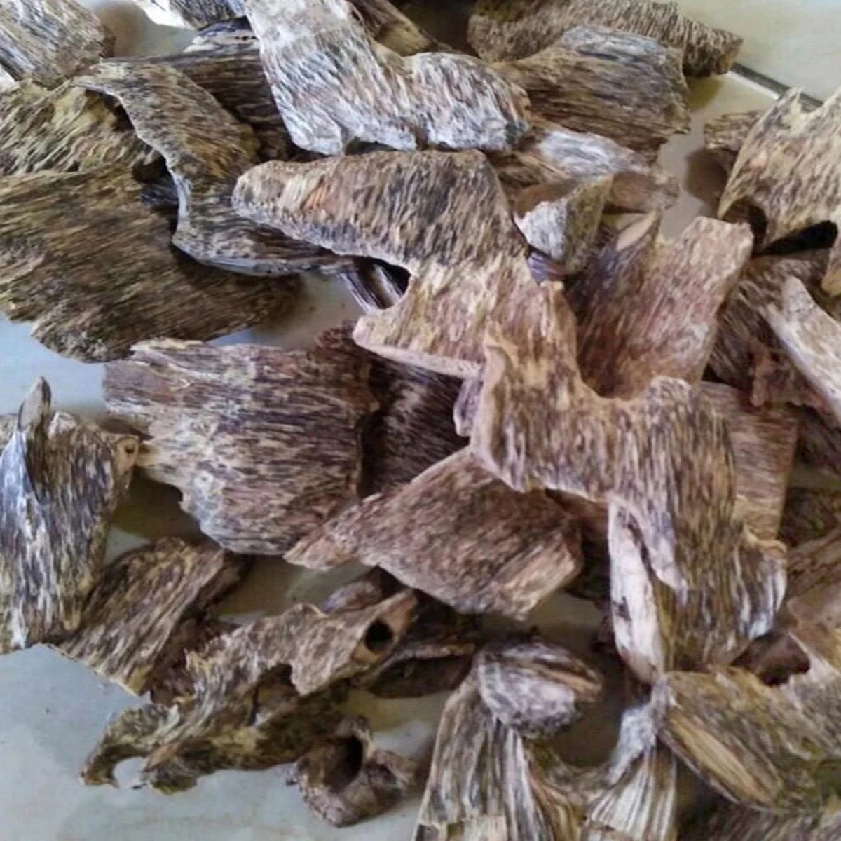 Pure Natural Forest Agarwood Combodi Oud Religious Use Available in Wholesale Prices