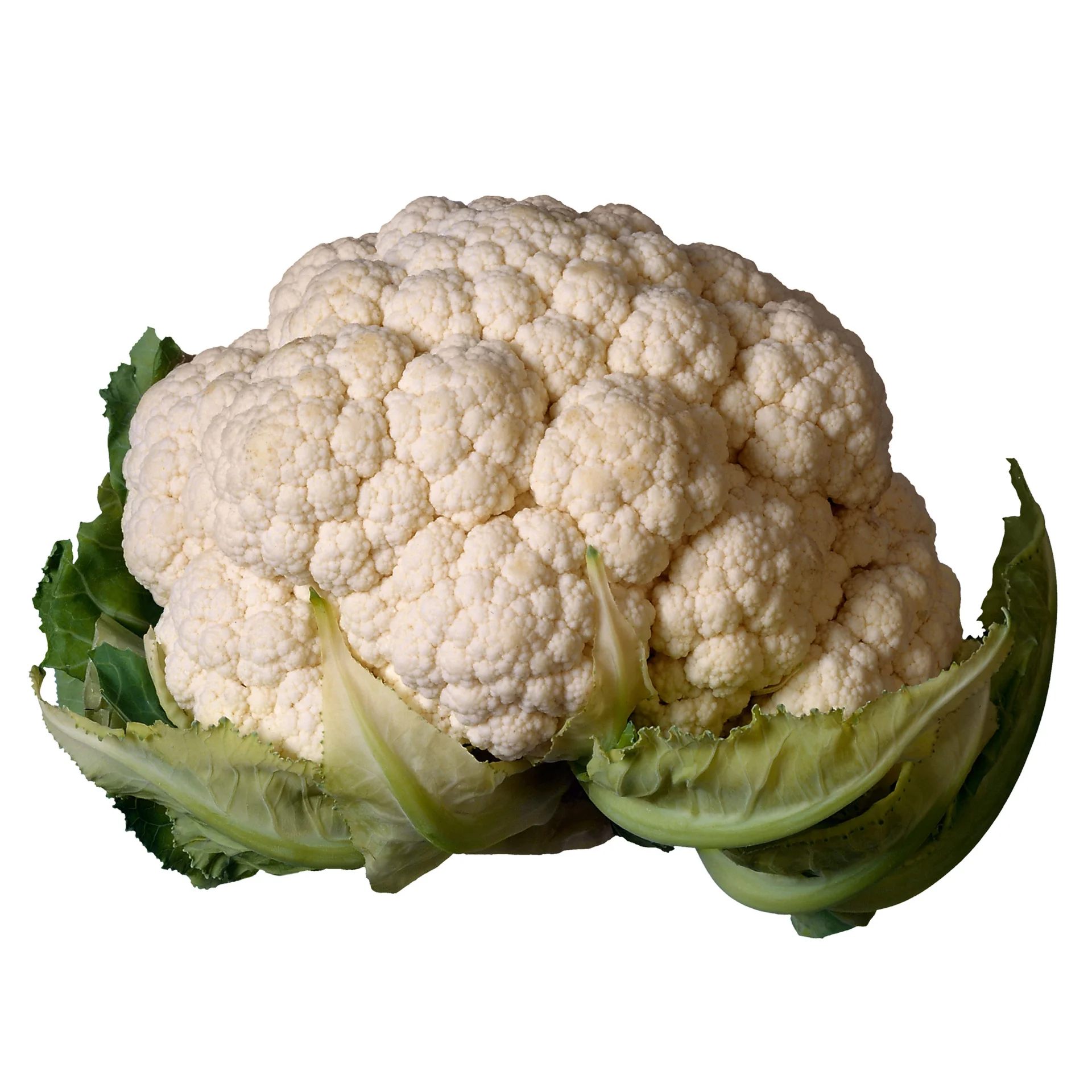 Cauliflower High Quality