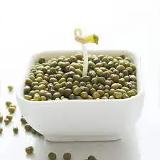Wholesale Small Green Gram Vigna Bean Mung Beans In Bulk
