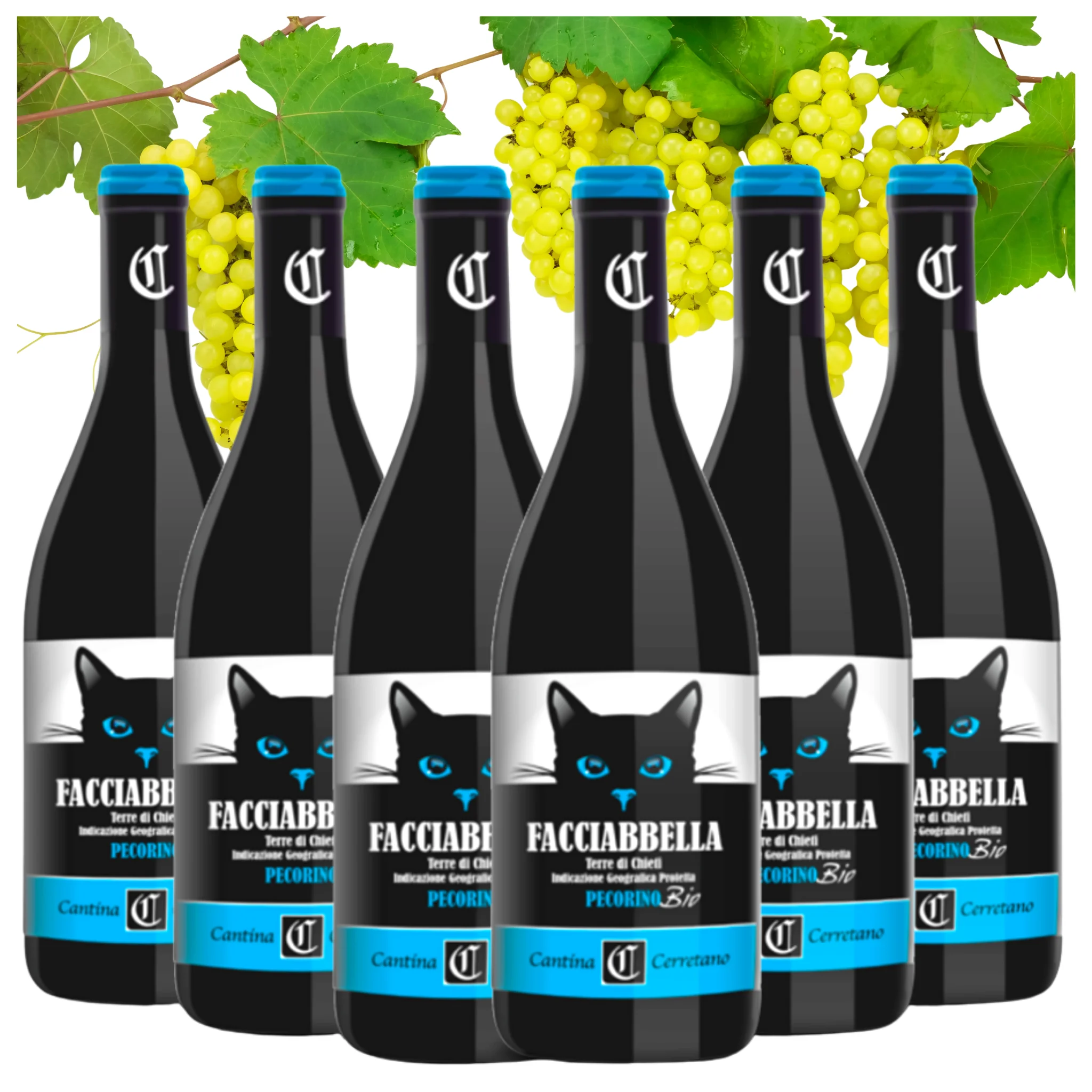 Dropship Italian White Wine - Pecorino Terre di Chieti IGP Organic Vegan - Wine bottles 750 ml - Alcohol wine 12.5%