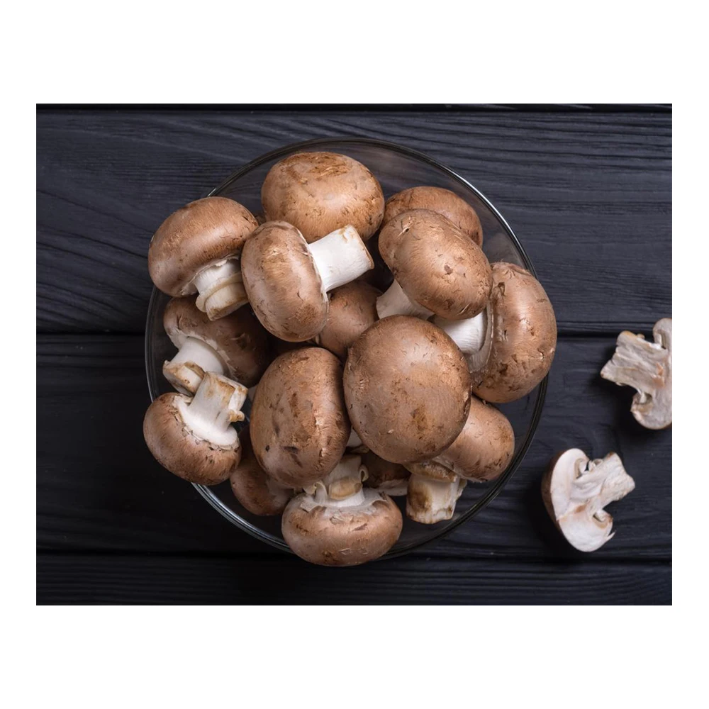 Грибы, королевские устричные грибы, Pleurotus Eryngii для продажи