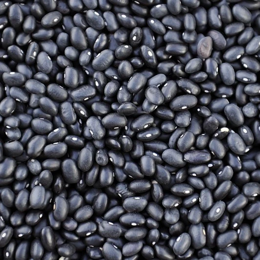 
2021 new crop black beans for sale 
