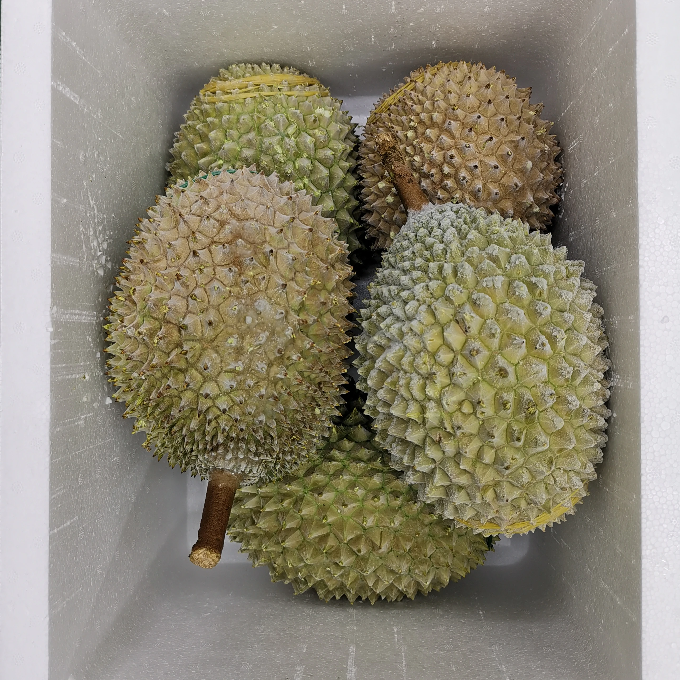 Cheap Wholesale D197 Malaysia Best Frozen Whole Fruits iqf Musang King Sweet Creamy Durian Pahang Weight 2kg In Vacuum Pack