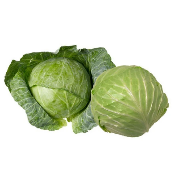 
Good cabbage price frozen Turkey round cabbage 