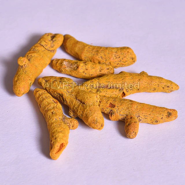 High Quality Indian Turmeric Fingers / Indian Whole spice with High Medicinal Curcumin Suppliers at Best Price
