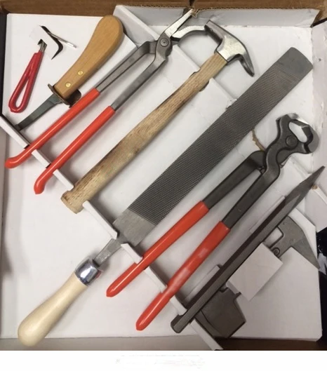 Набор инструментов для ухода за лошадьми Farrier набор копытками съемник ногтей молоток буфер рашпили