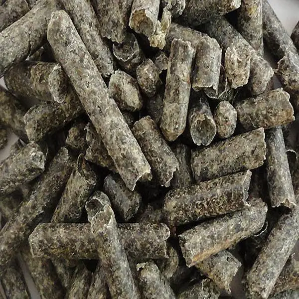 Sugar beet pulp pellets