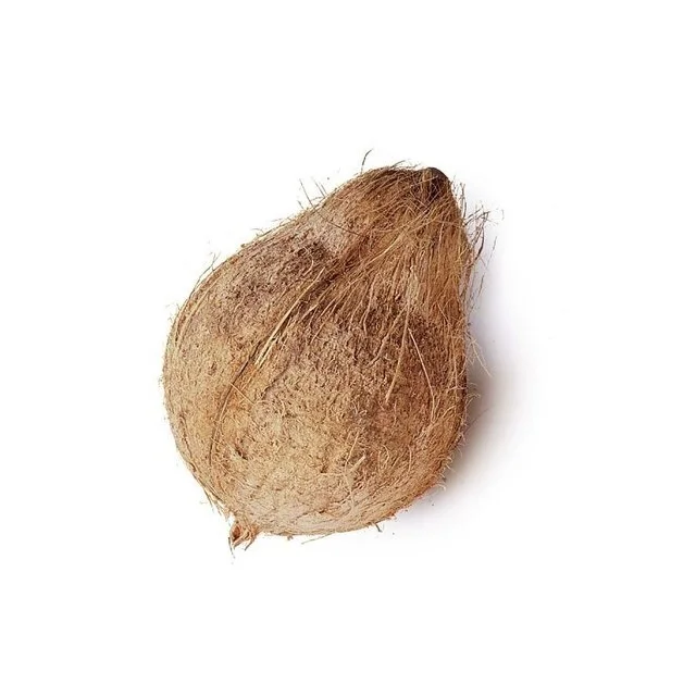Delicious Nutritious & Organic semi husked coconut buyers and suppliers manufacturers traders from india