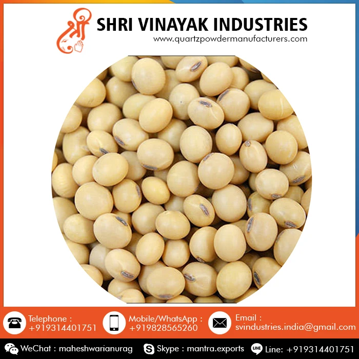 Top Sale Good Quality Organic Soybean Seed at Wholesale Price