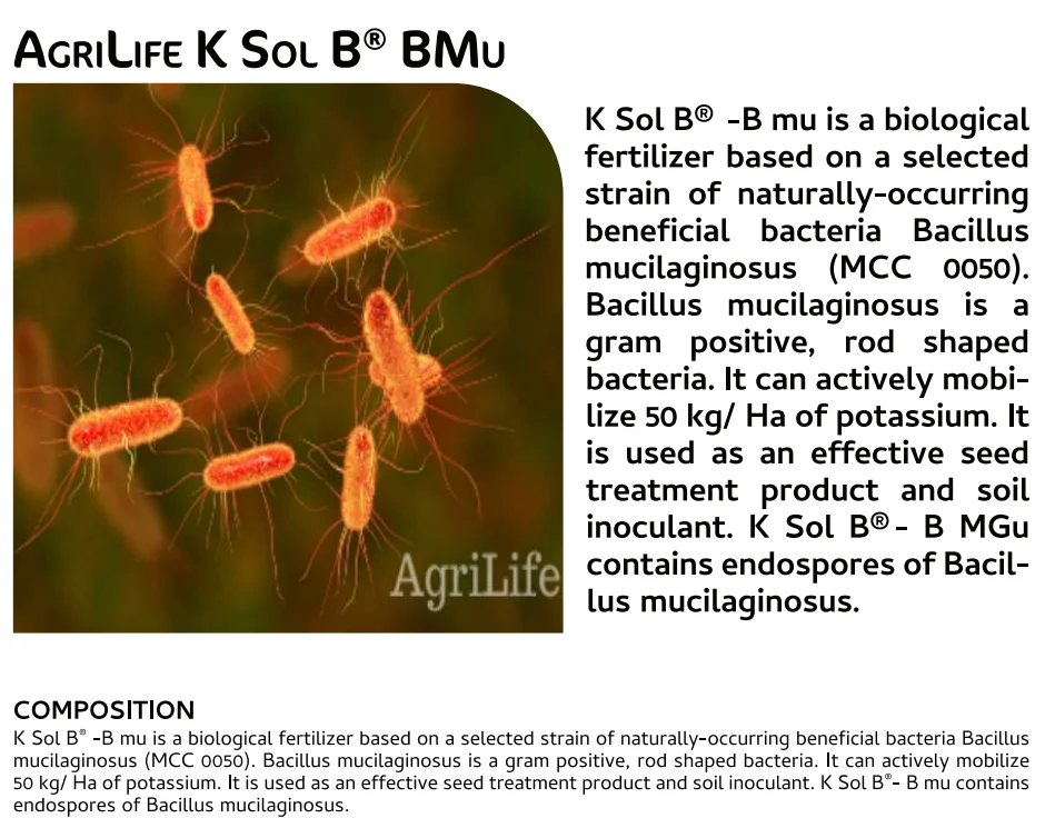 Screenshot (971).png