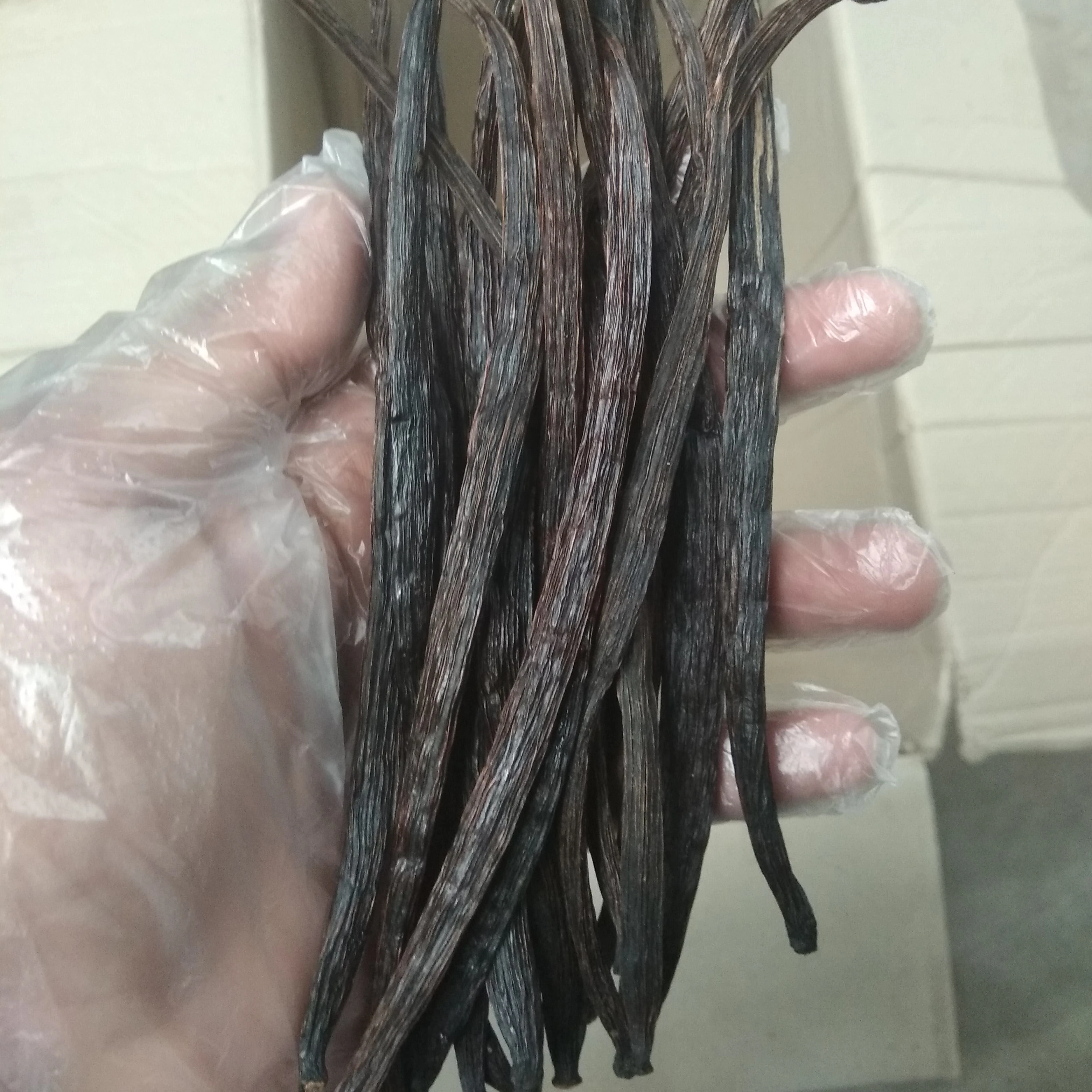 Vanila Beans / Vanila Seeds / Vanila Powder