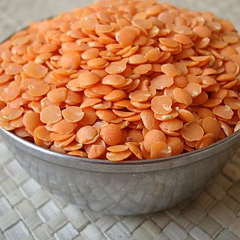 Lentils1.jpg