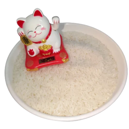 MECOFOOD вьетнамский экспортный дешевый рис OM 5451 упаковка в PP 10 кг пакеты