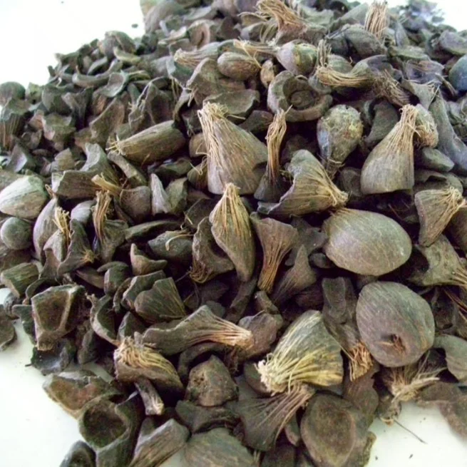 Wholesale Palm Kernel Shell(PKS)