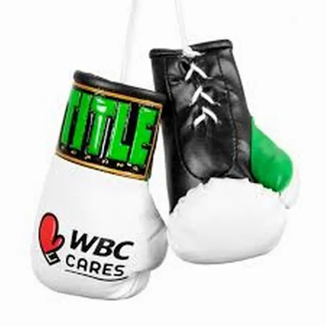Latest design with Customized Logo Print Mini Boxing Gloves Keychain  OR Car mirror hang Made in Leather