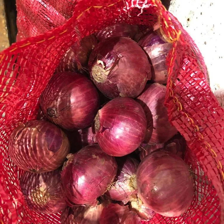 Best choice and best discounts Fresh Red Onions sweet  Onions lowest price  onion specification fresh for sale