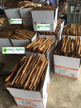 Сушеная разделенная Кассия от лучшего поставщика во Вьетнаме | + 84961 358 398 whatsapp