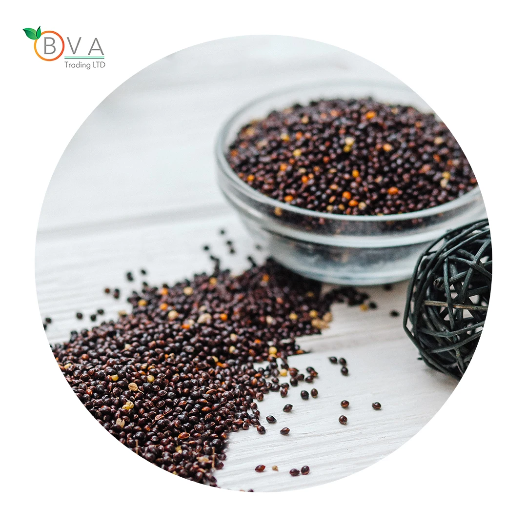 
Wholesale Bird Feed Seeds Of Ukrainian origin Black Millet for Birds Food 