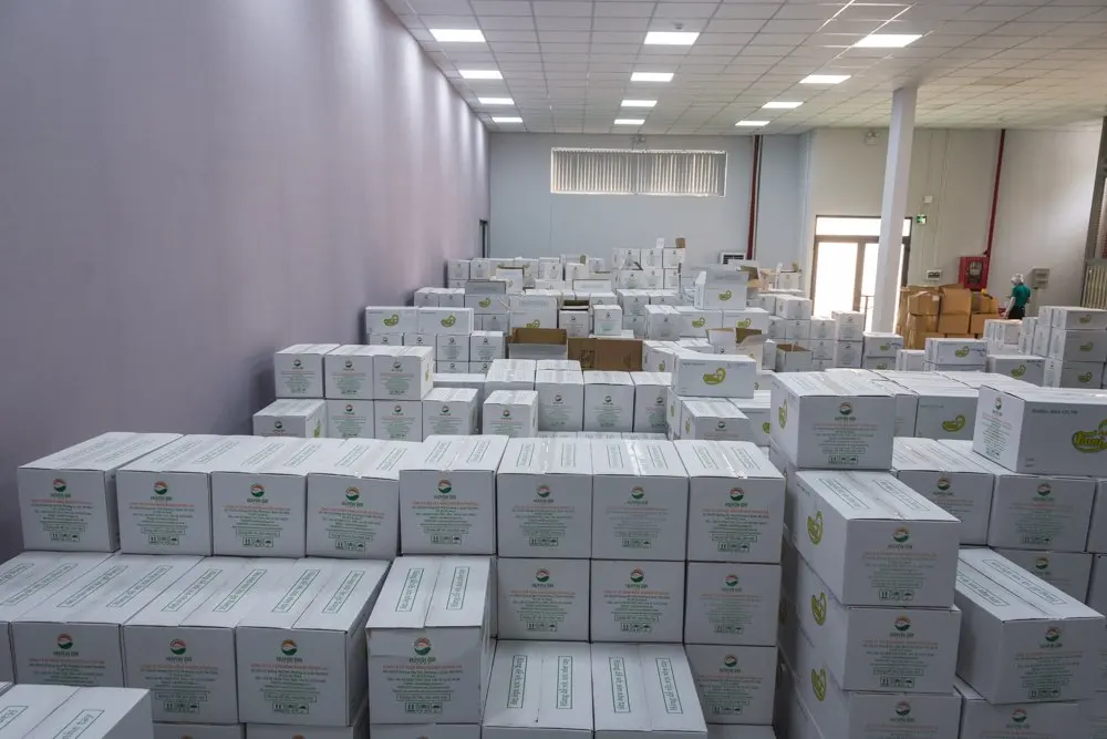 RAW CASHEW NUTS AFI STANDARD/ BROKEN CASHEW/WS LP SP BB- HUYNH GIA AGRICULTURE JOINT STOCK COMPANY