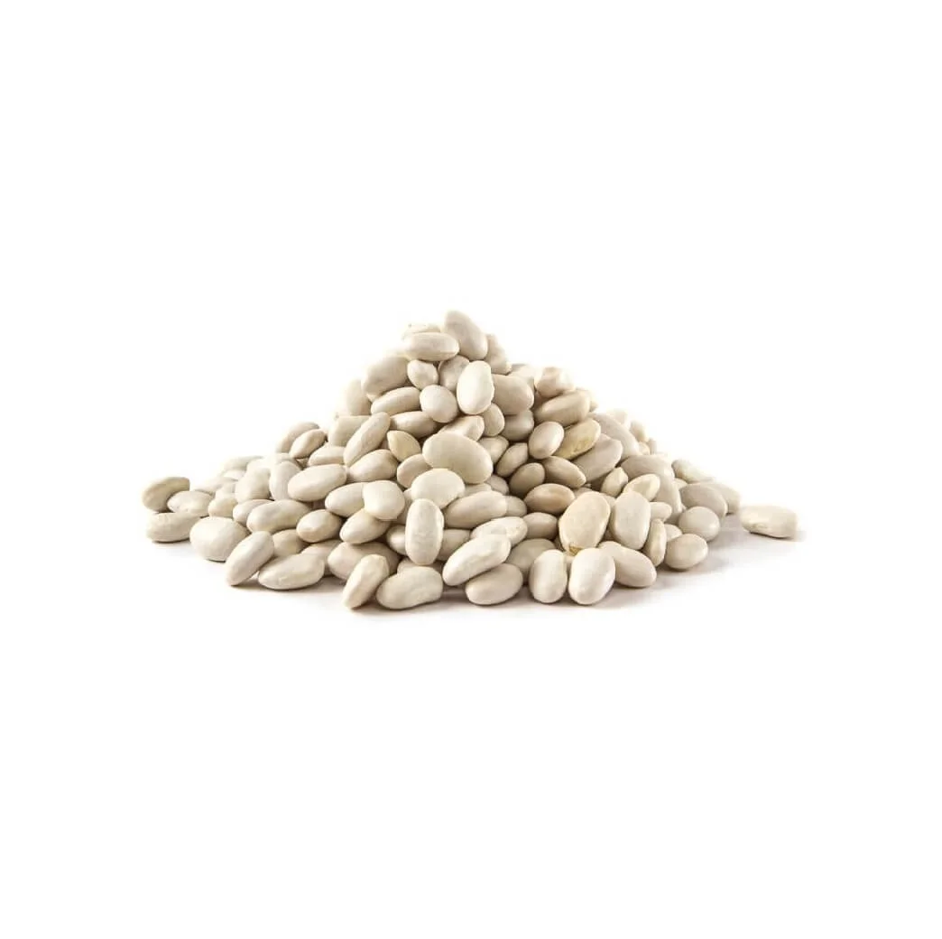 
Best Price White Butter Beans Available In Bulk Quantity 
