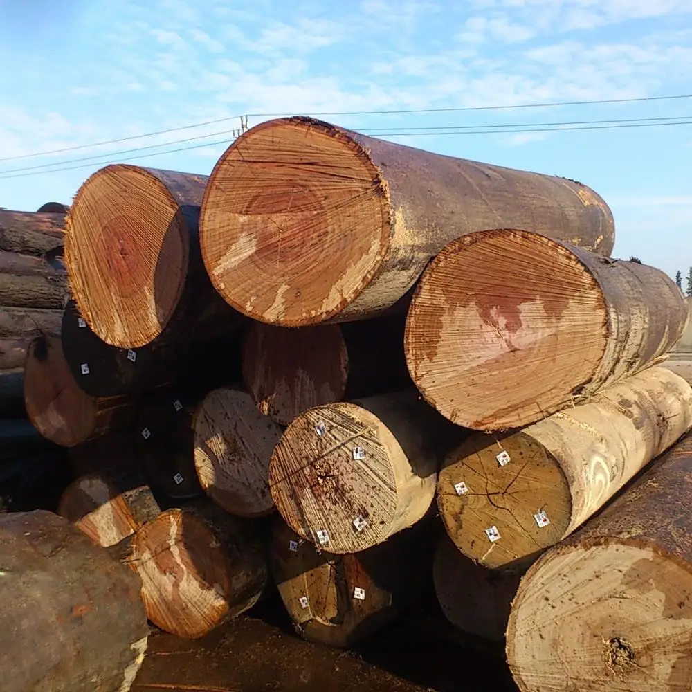 
Australian species Eucalyptus timber logs and sawn timber Blackbutt & Spotted Gum 