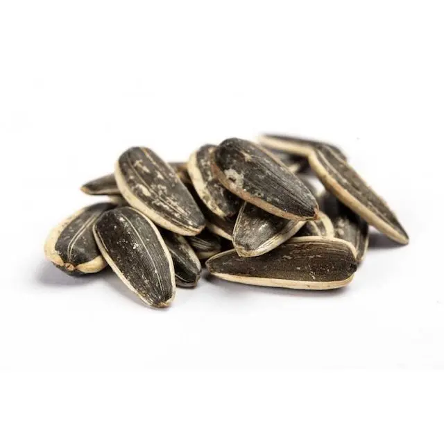 wholesale Dried Style sunflower seeds price