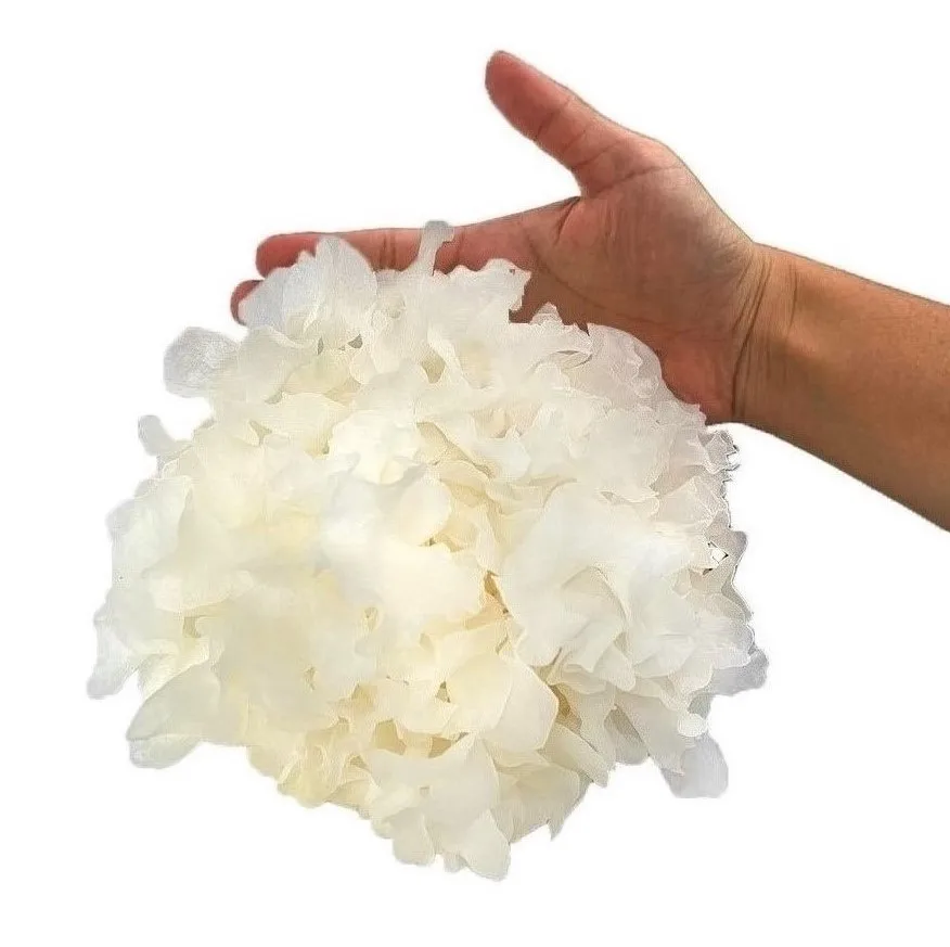 Pure low calorie tremella birdnest for sweet soup