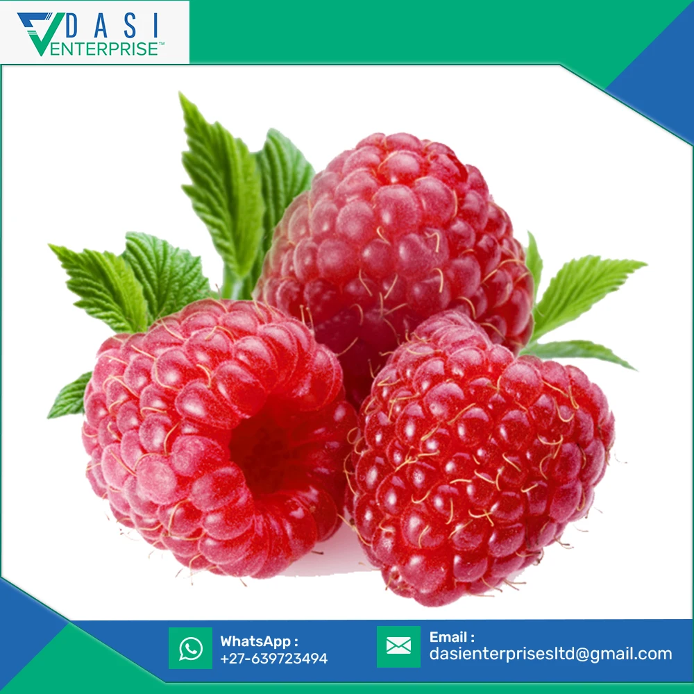  Customer Satisfied Top Quality Natural Fresh Red Raspberries From South Africa At Wholesale