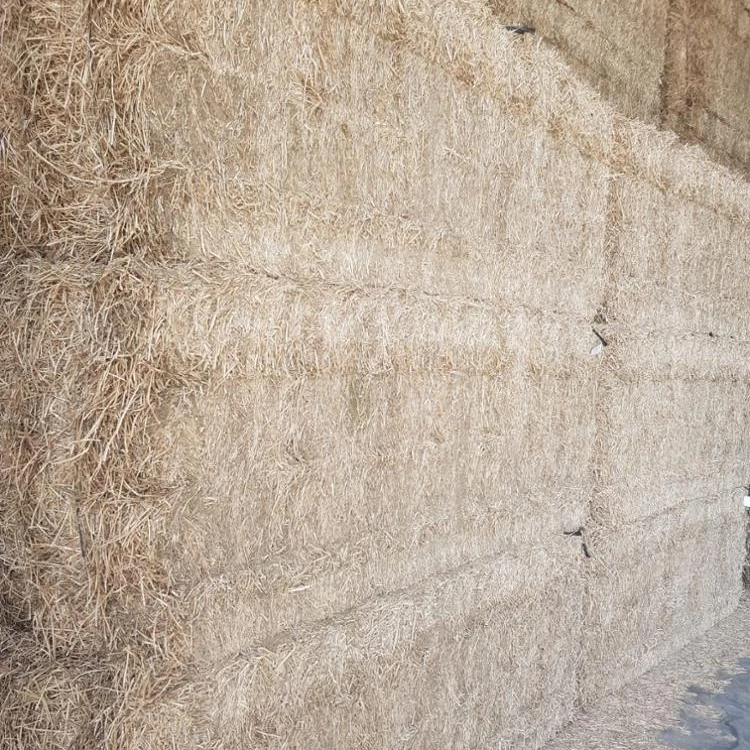 Wheat straw for animal feed