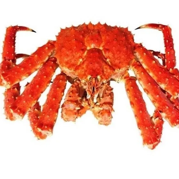 Горячая Распродажа живая грязь крабы синие замороженные морепродукты живые и оптом свежий красный королевский краб