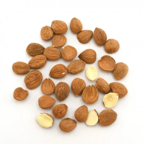 Apricot kernels for sale