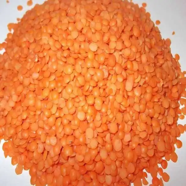 
Food Red Lentil High Quality Organic Red Lentils in Bulk Max Gift OEM Style Packing Packaging Color Weight 