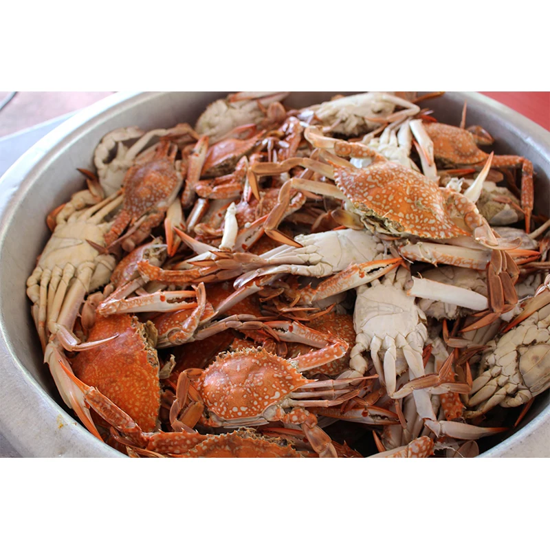 Delicious Halal Crab Seasoning Made in Malaysia Dried Powder Crab Meat Suitable for Various Type of Crab Recipe
