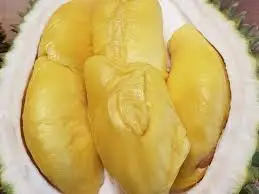 Хорошая цена оптовая продажа свежий дуриан 100% натуральный премиум сделано в вьетнаме