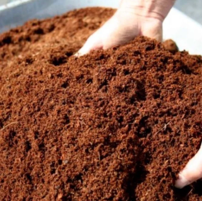 Cocopeat мелко дробленый кокос измельченный кокосовый коир уличный Садовый цветок декоративное дерево растение семена