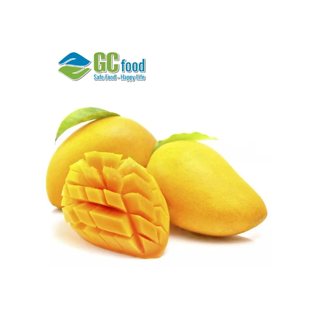 Высококачественные кубики из фруктов манго замороженные оптовая продажа Вьетнама-LC TT по предъявлении