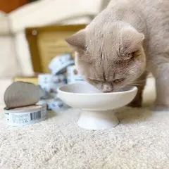 Delicious Chicken and Beef Wet Cat Canned Food
