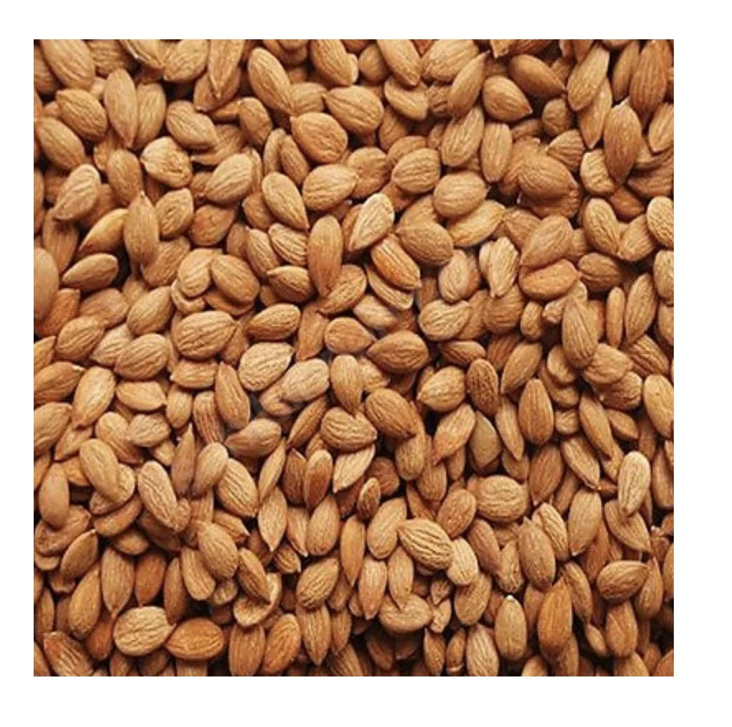 
Turkish Dried Healthy Food Apricot Dried Preserved Dry Place Apricot Kernel Sweet Turkey 100% Nature Natural Color from TR AD 