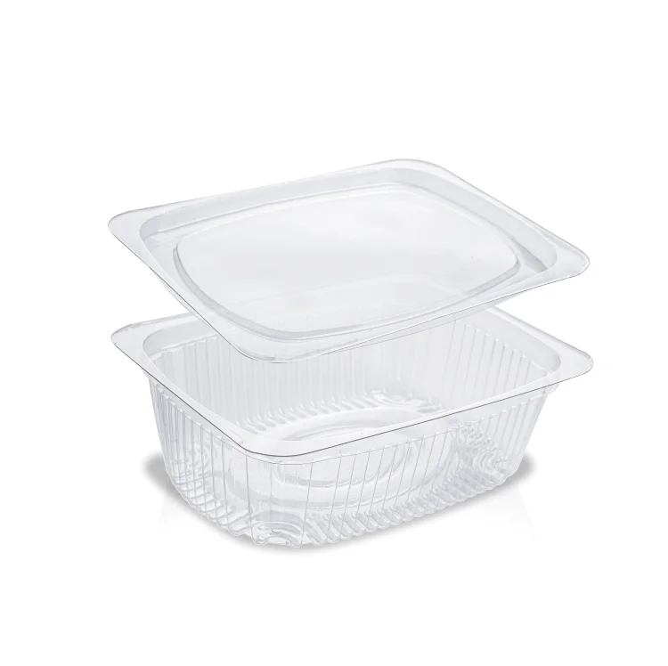 8 oz Clear Plastic Box with Lid PET 2200