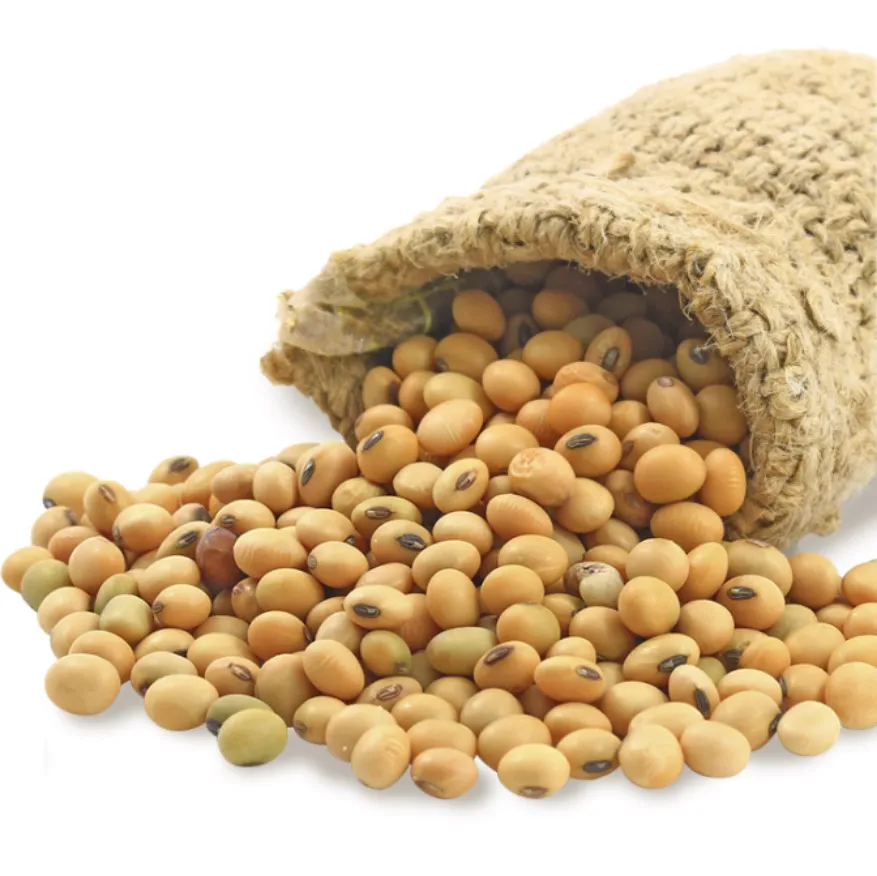 
Russian wholesale soybeans, agriculture product 