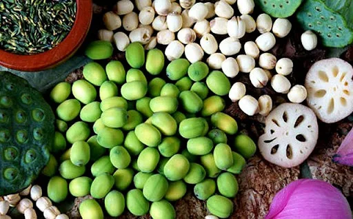 LOTUS SEED - 100% Organic Lotus seeds from Viet Nam Supplier Export Wholesale Agricultural Newest crop Best Quality