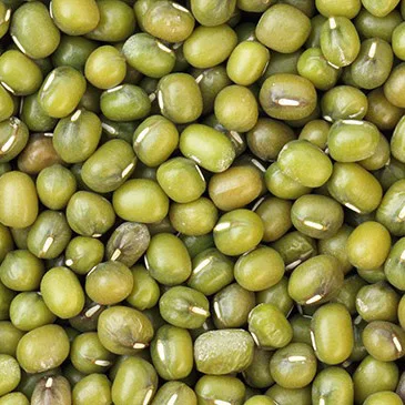 High quality mung beans