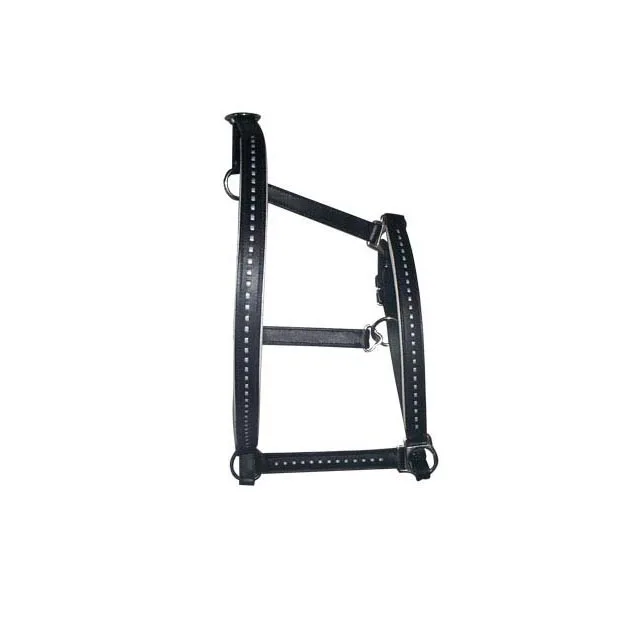 Hand Carved Leather Halter