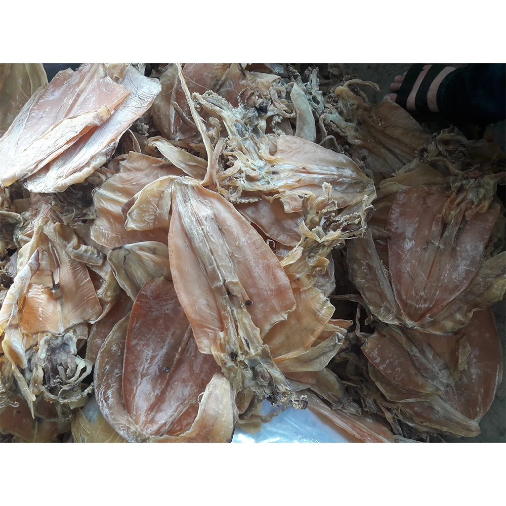 Высокое качество сушеный кальмар (10-35 pieces/kg) из Вьетнама | Сушеный Дешевой цене