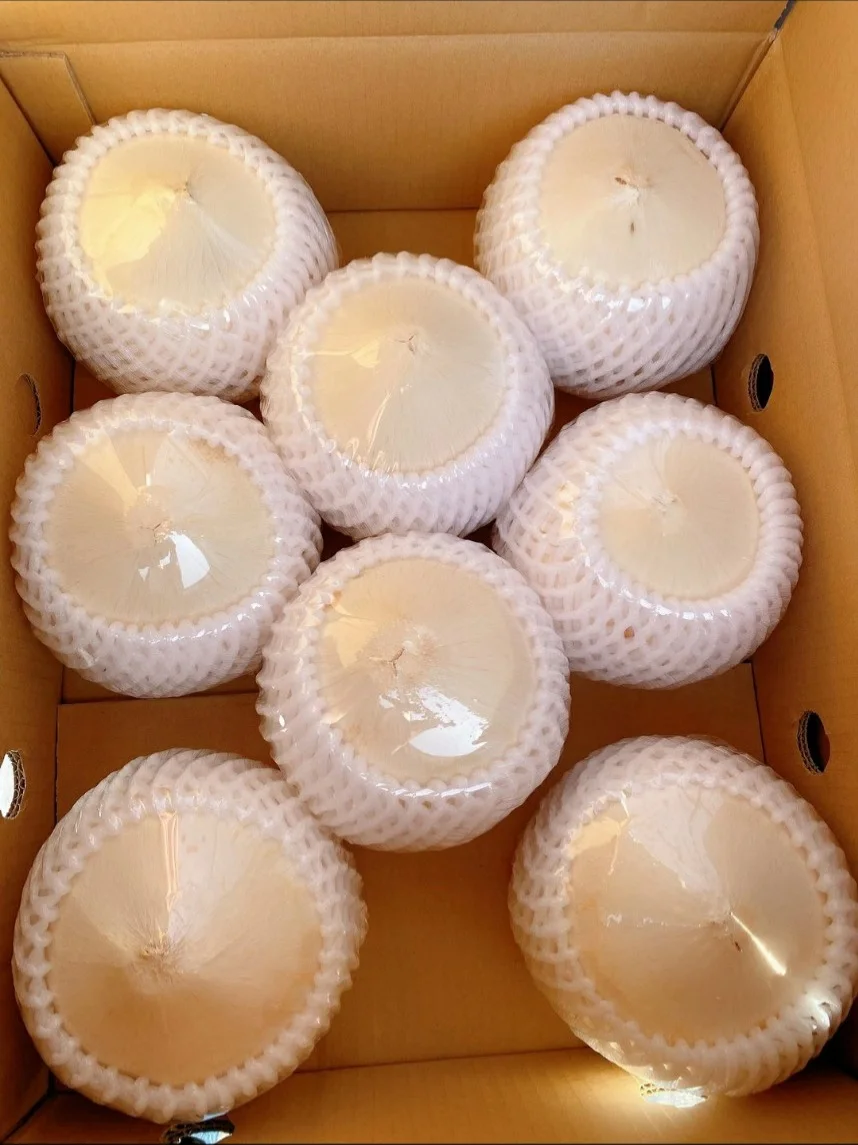 High Quality Wholesale Mild Sweet Taste Of Water Fresh Coconut With 25 Days Shelf Life From West Of Vietnam