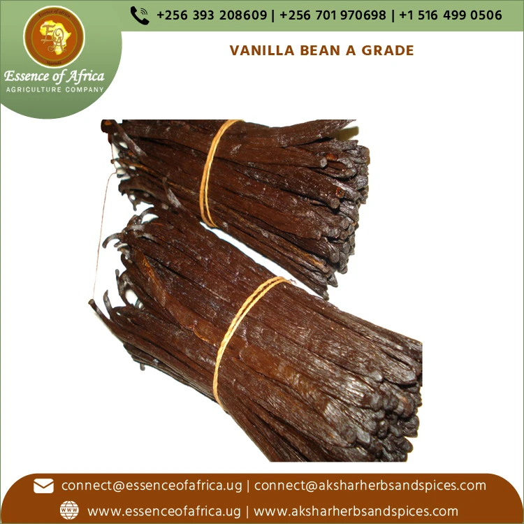 Organic  Vanilla Beans Grade A| High Quality Bulk Vanilla Bean Pods | Perfect for Making  Vanilla Extracts