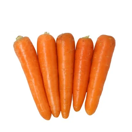 
Fresh orange carrot with long shape origin in China with good quality. 