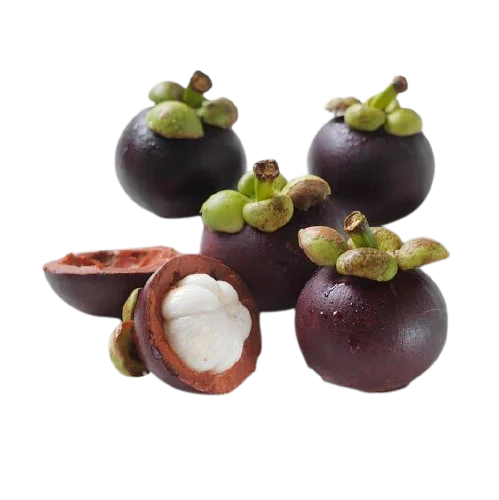 Свежие фрукты стандартного типа, экспорт-фрукты мангостина, самая низкая цена