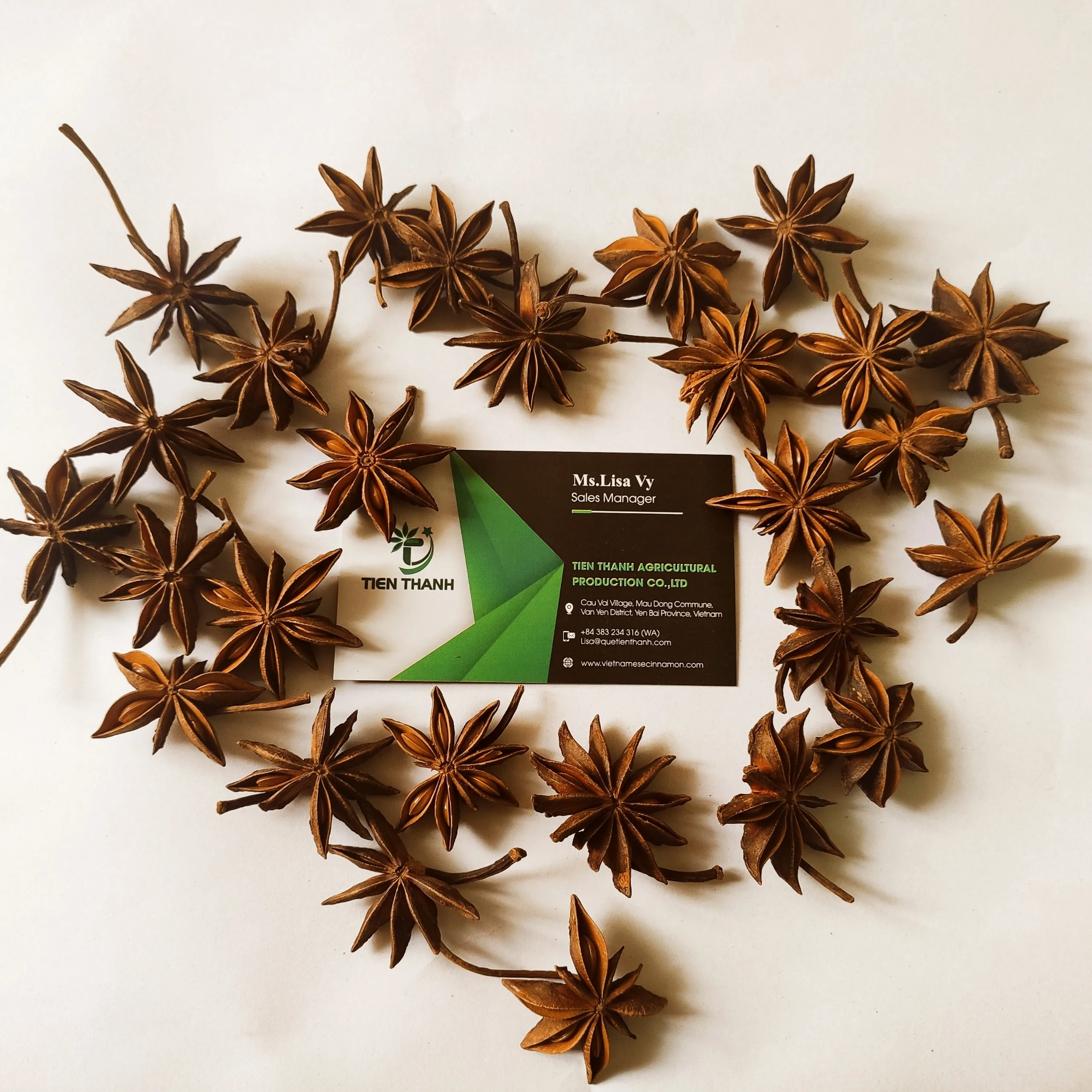 Bunga Lawang Kering/ Star Anis/ Illicium verum extract From Vietnam