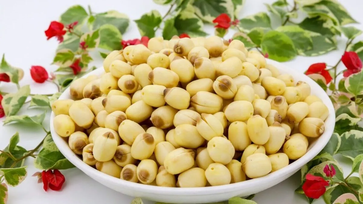 ATL GLOBAL VIET NAM - DRIED LOTUS SEEDS HIGH QUALITY WITH CHEAP PRICE